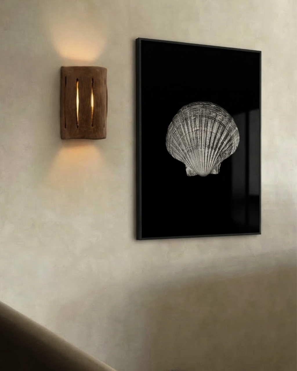 Single Pecten novaezelandiae by Claudia Leitgeb