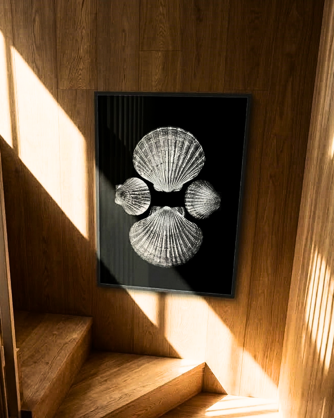 Four Pecten novaezelandiae by Claudia Leitgeb