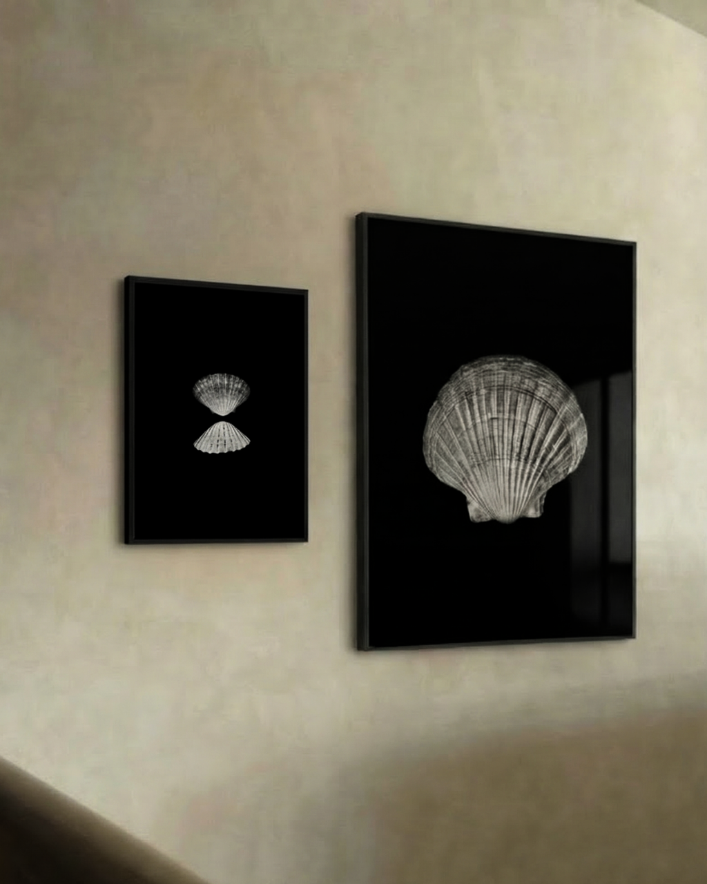 Two Small Pecten novaezelandiae by Claudia Leitgeb