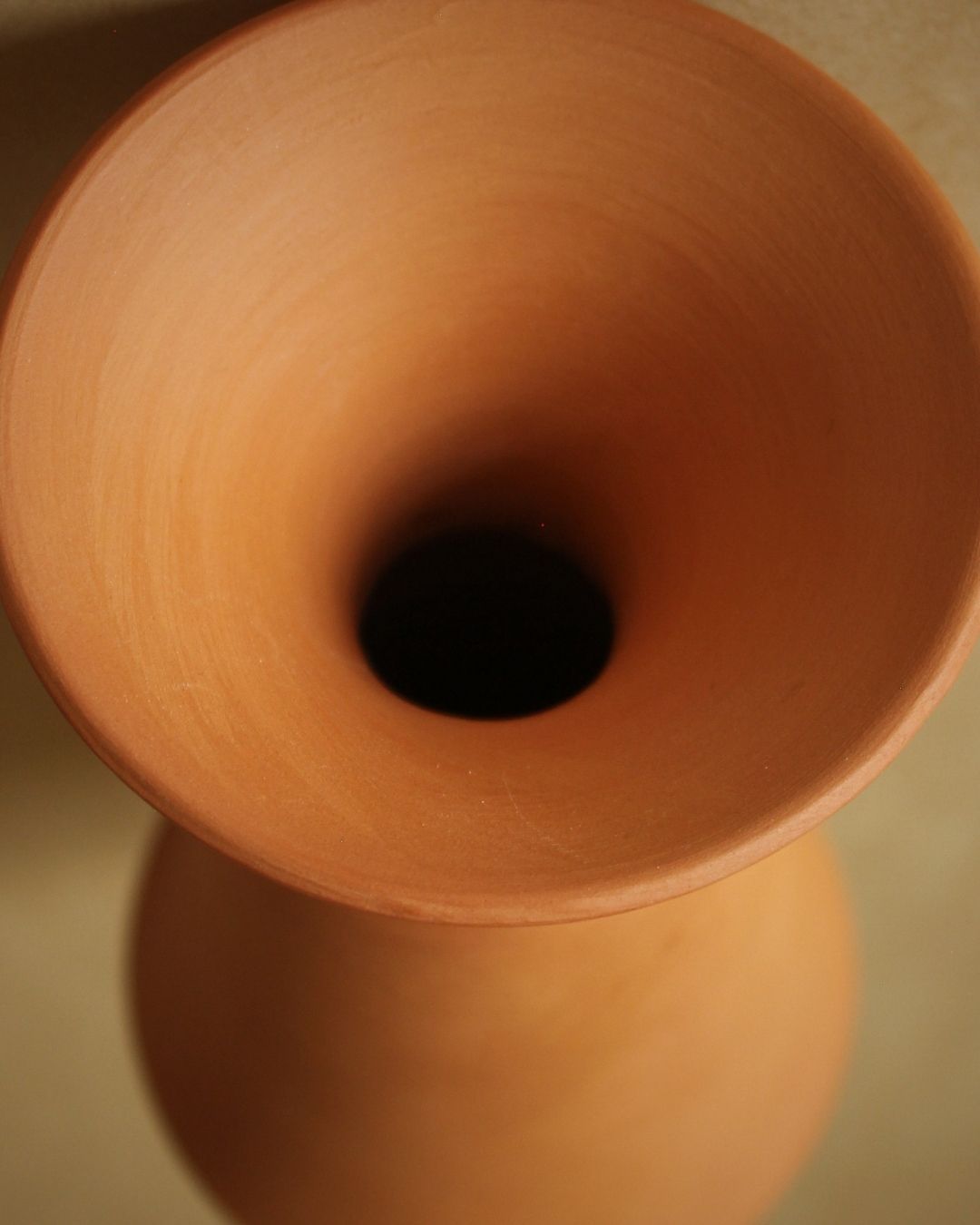 Terracotta vase on a beige background